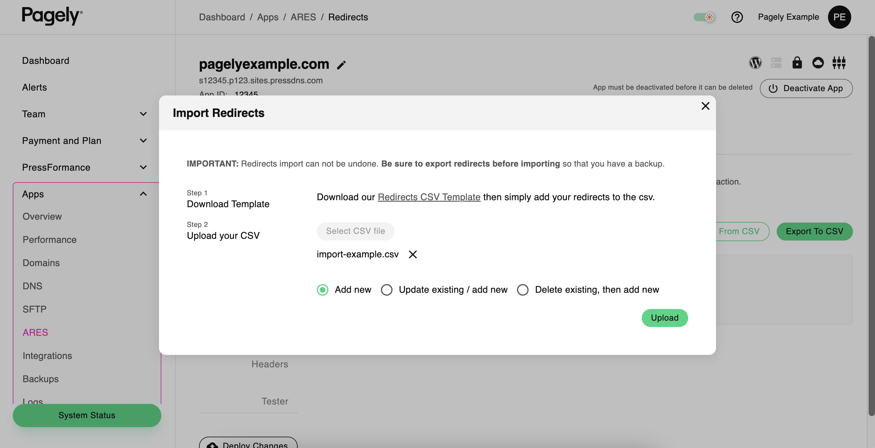 Screenshot: import redirects file selected