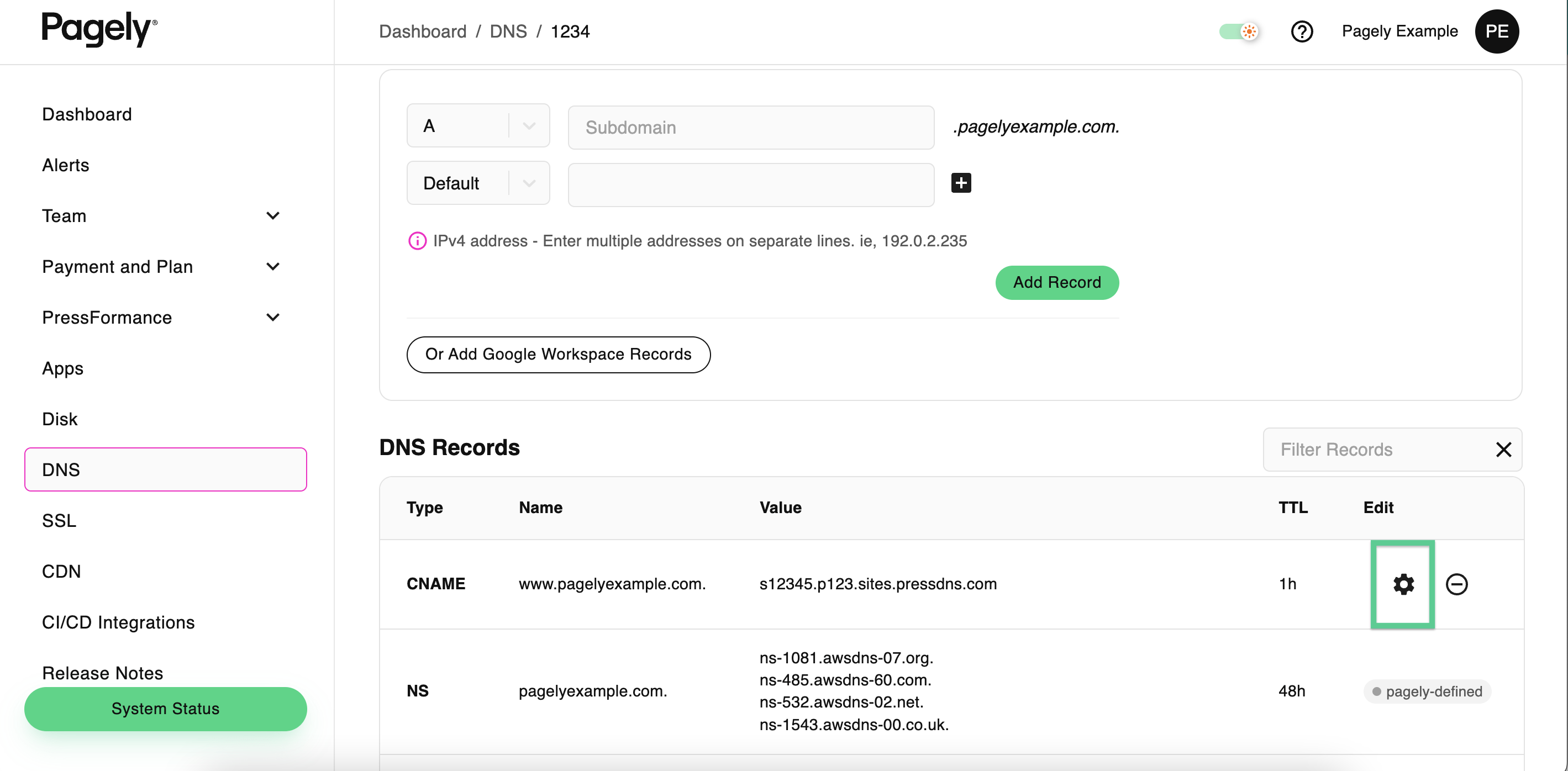 Screenshot: edit DNS record