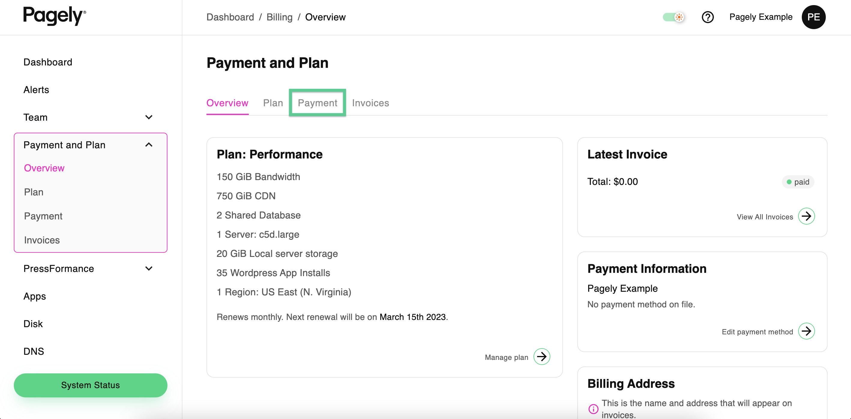 screenshot: go to payment tab